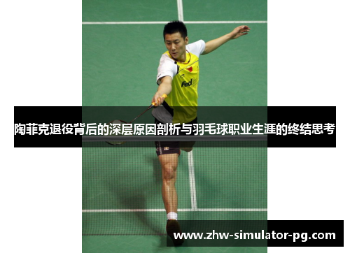 陶菲克退役背后的深层原因剖析与羽毛球职业生涯的终结思考