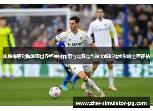奥斯梅恩对阵韩国世界杯关键作用与比赛走势深度解析战术影响全面评估
